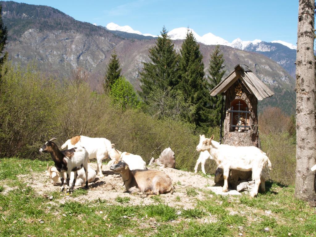 Penzion Rozic Bohinj Exterior foto